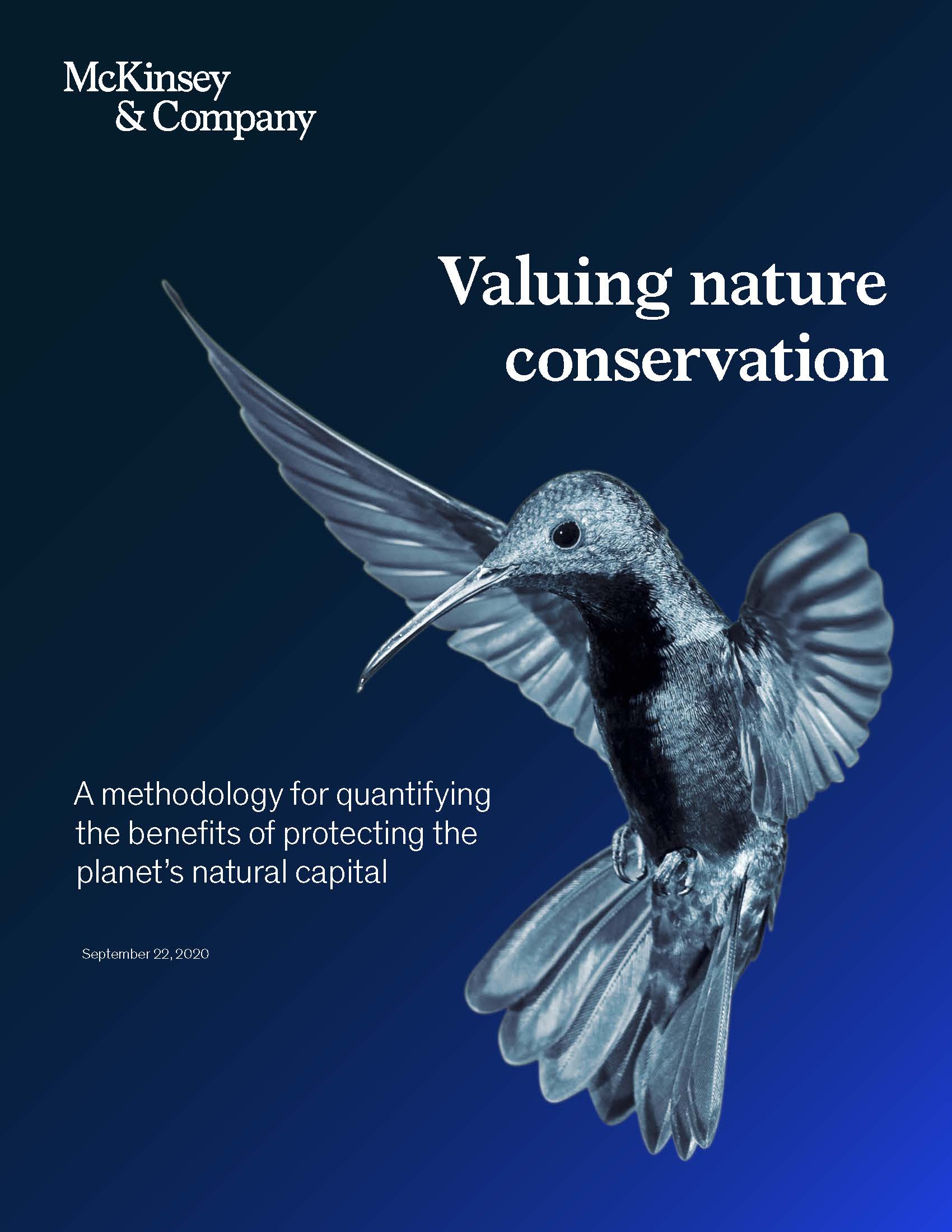 Valuing Nature Conservation: A methodology for quantifying the benefits of protecting the planet’s natural capit